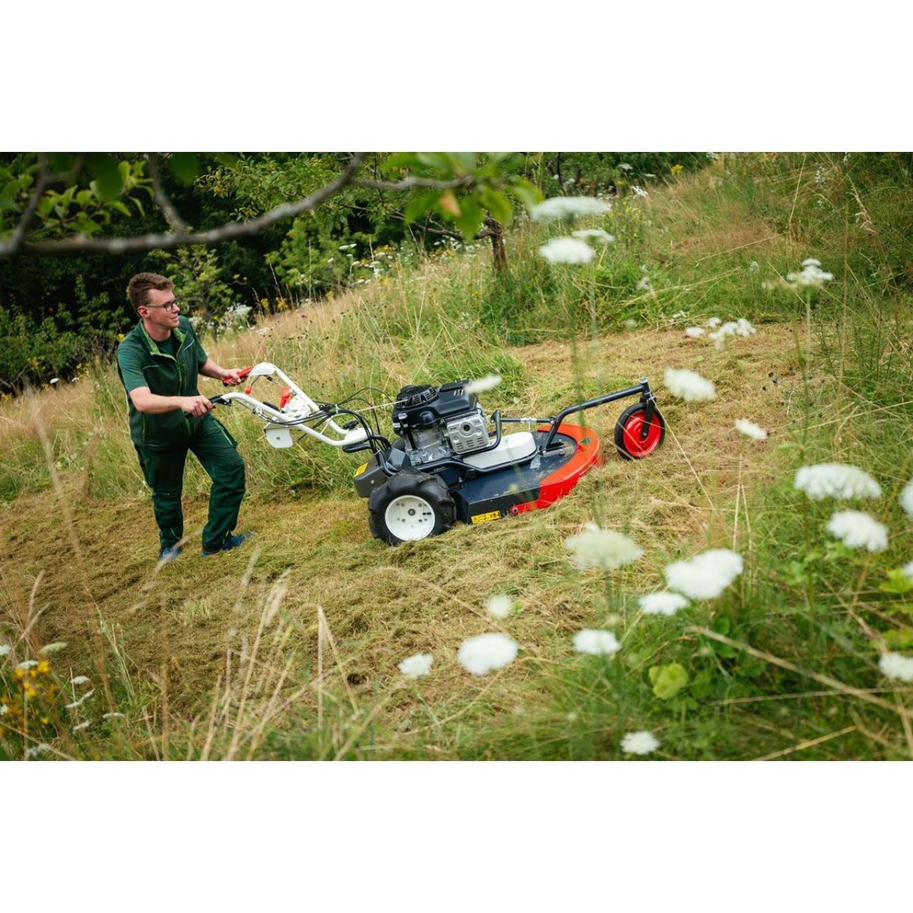 100012083 Hochgras-Rasenmäher Allesmäher SH 71 BL